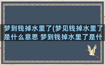 梦到钱掉水里了(梦见钱掉水里了是什么意思 梦到钱掉水里了是什么预兆)